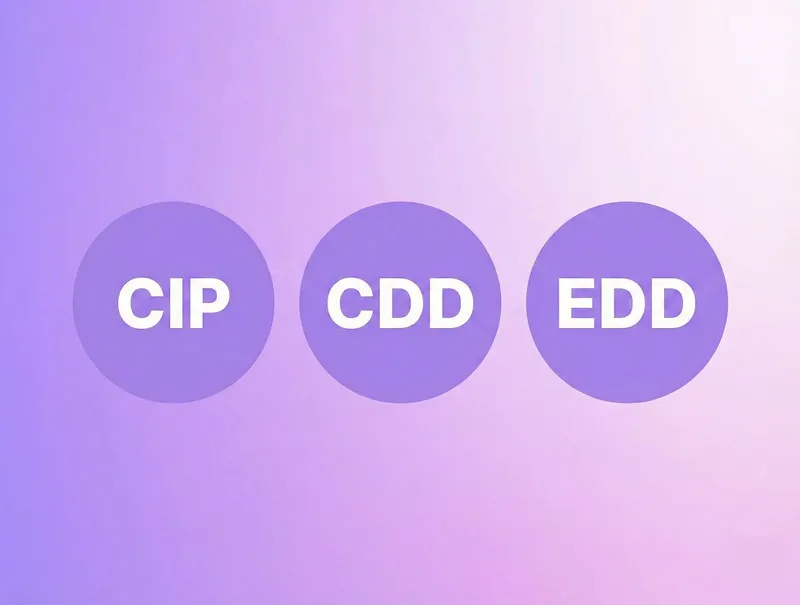An illustration with the text: CIP vs CDD vs EDD.