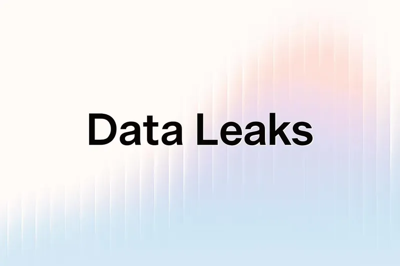 Data leaks protection illustration